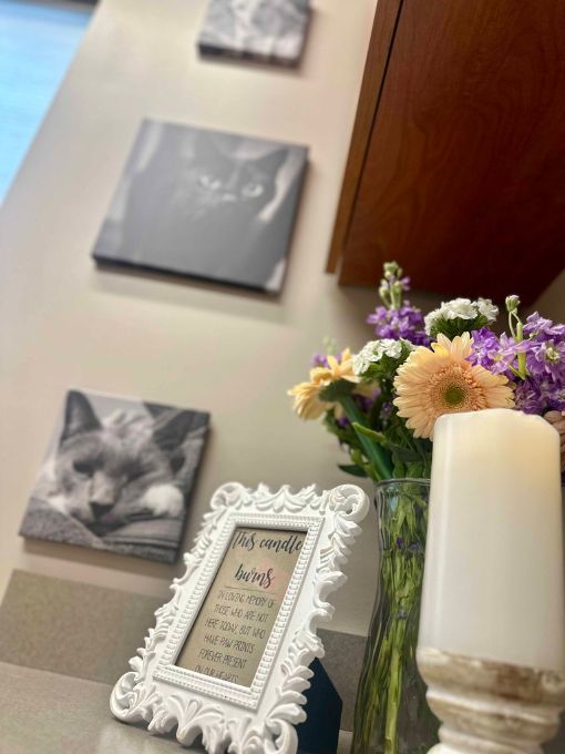 A framed picture of a cat sitting on a counter next to flowers.