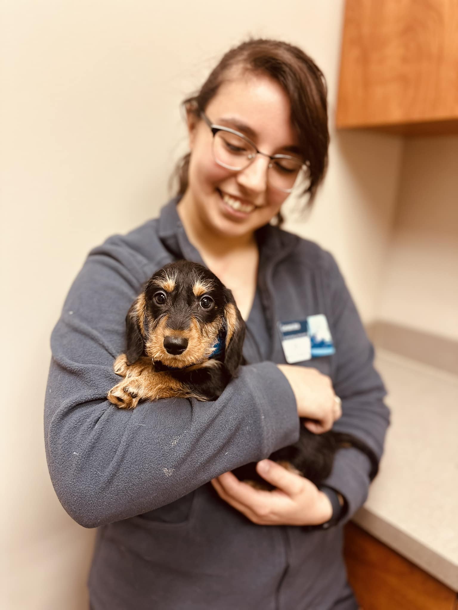 a vet cuddling a small dog in her arms