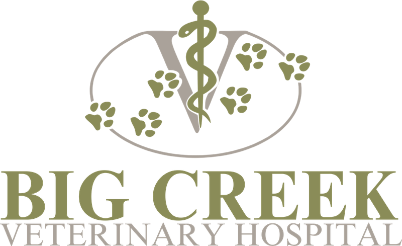 Big Creek Veterinary Hospital Logo