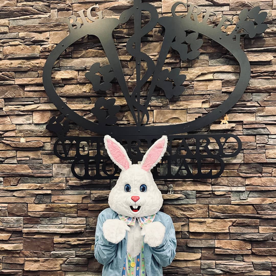 Big Creek Veterinary Hospital logo and easter bunny