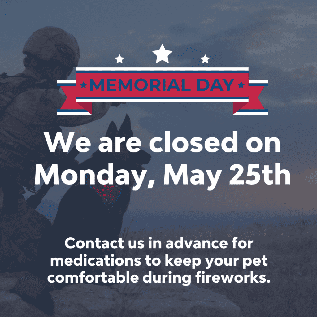 Memorial Day